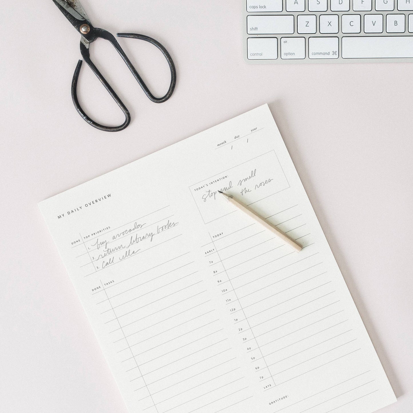 Daily Overview Notepad