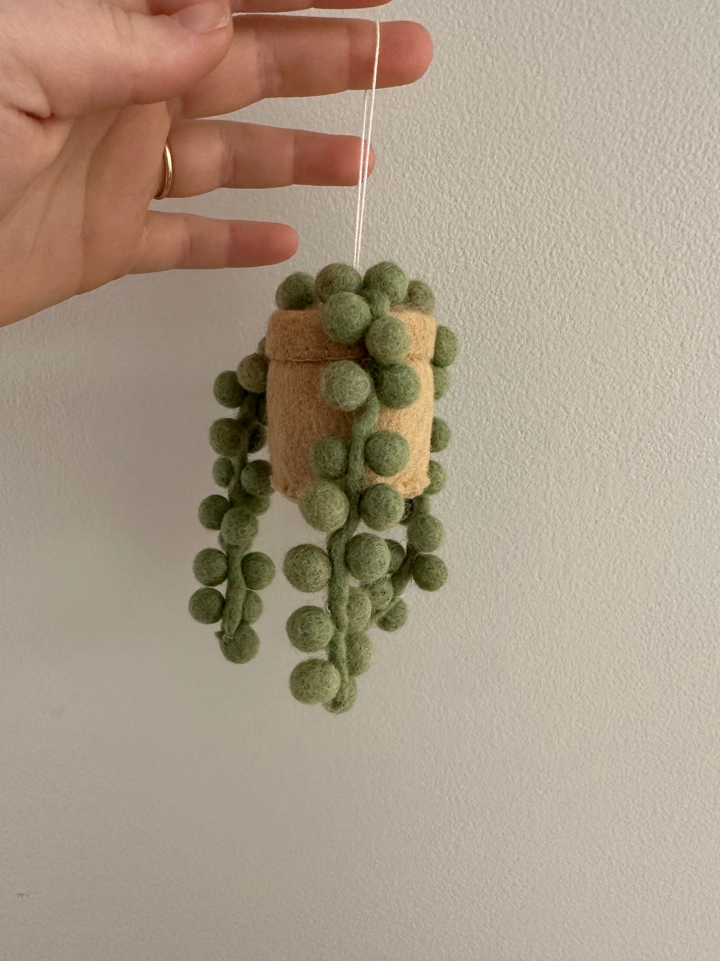 Plant Ornament