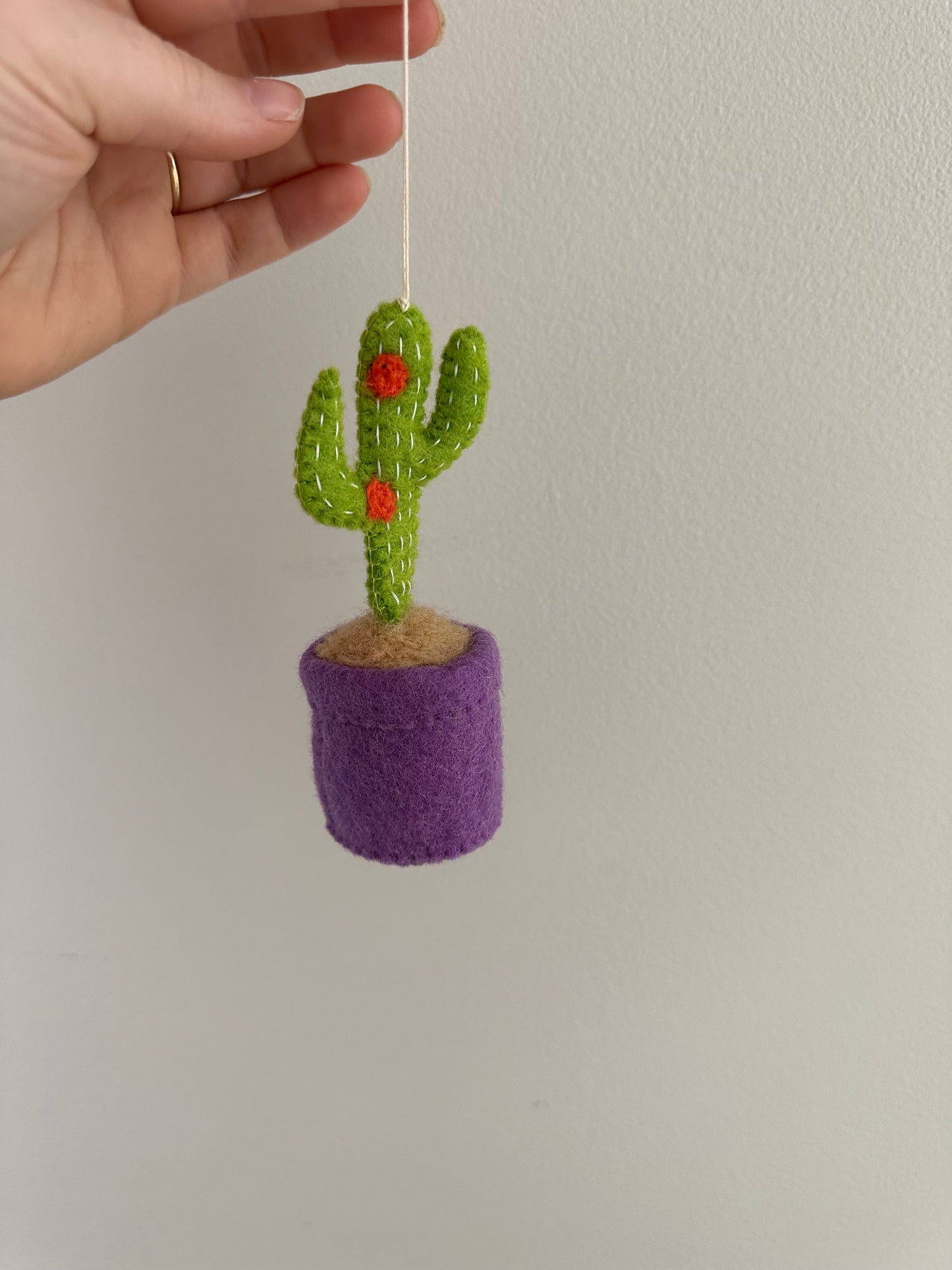 Plant Ornament