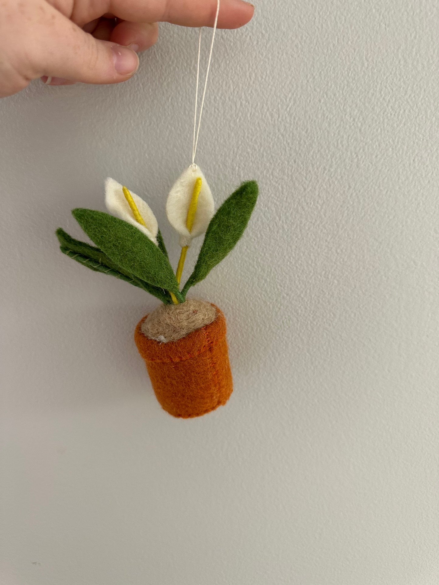 Plant Ornament