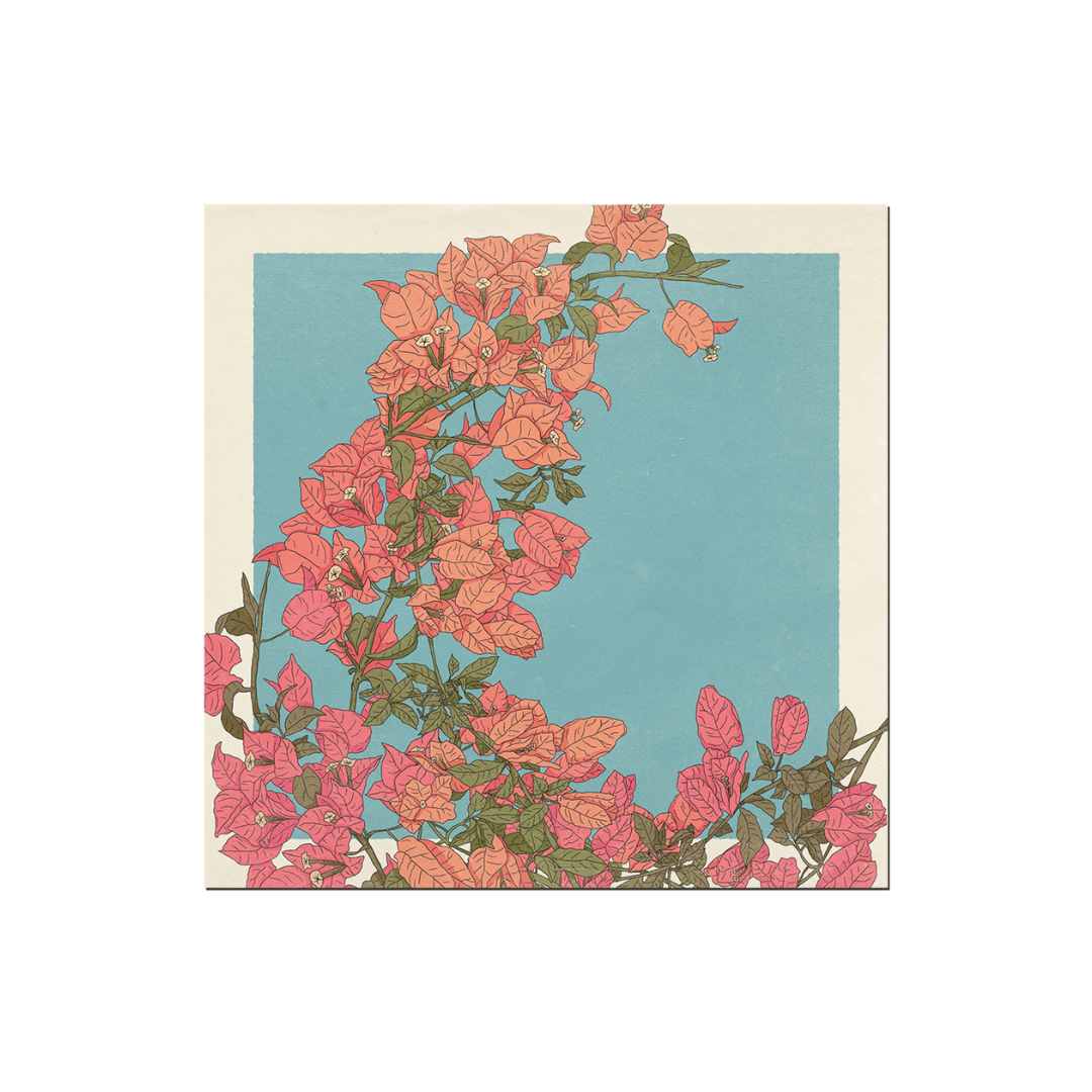 Bougainvillea Print