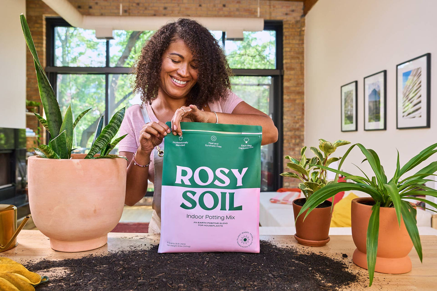 Rosy Soil Houseplant Potting Mix