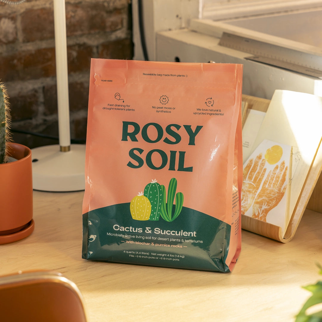 Rosy Soil Cactus & Succulent Mix