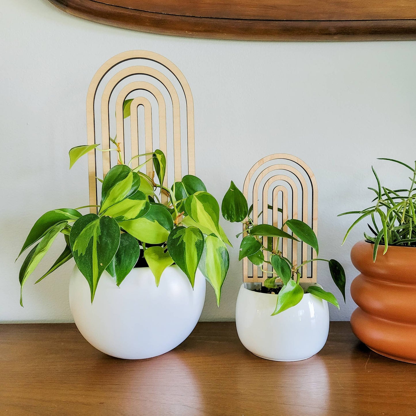 Wooden Rainbow Trellis