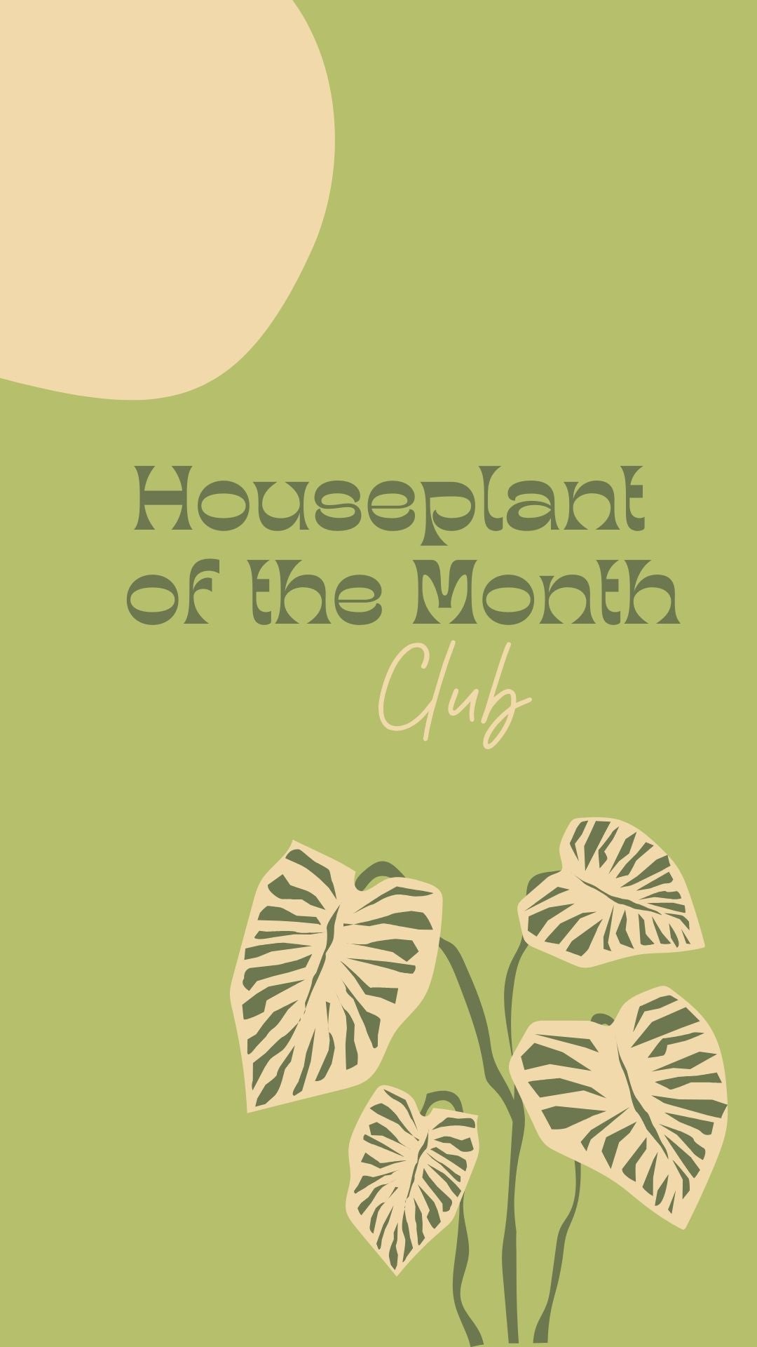 Houseplant of the Month Club