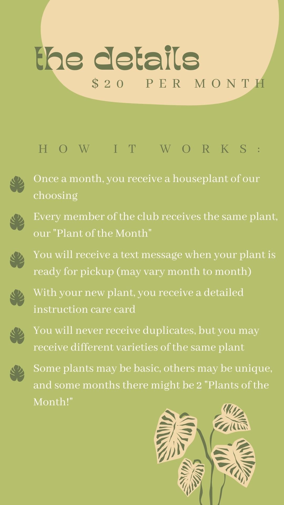 Houseplant of the Month Club