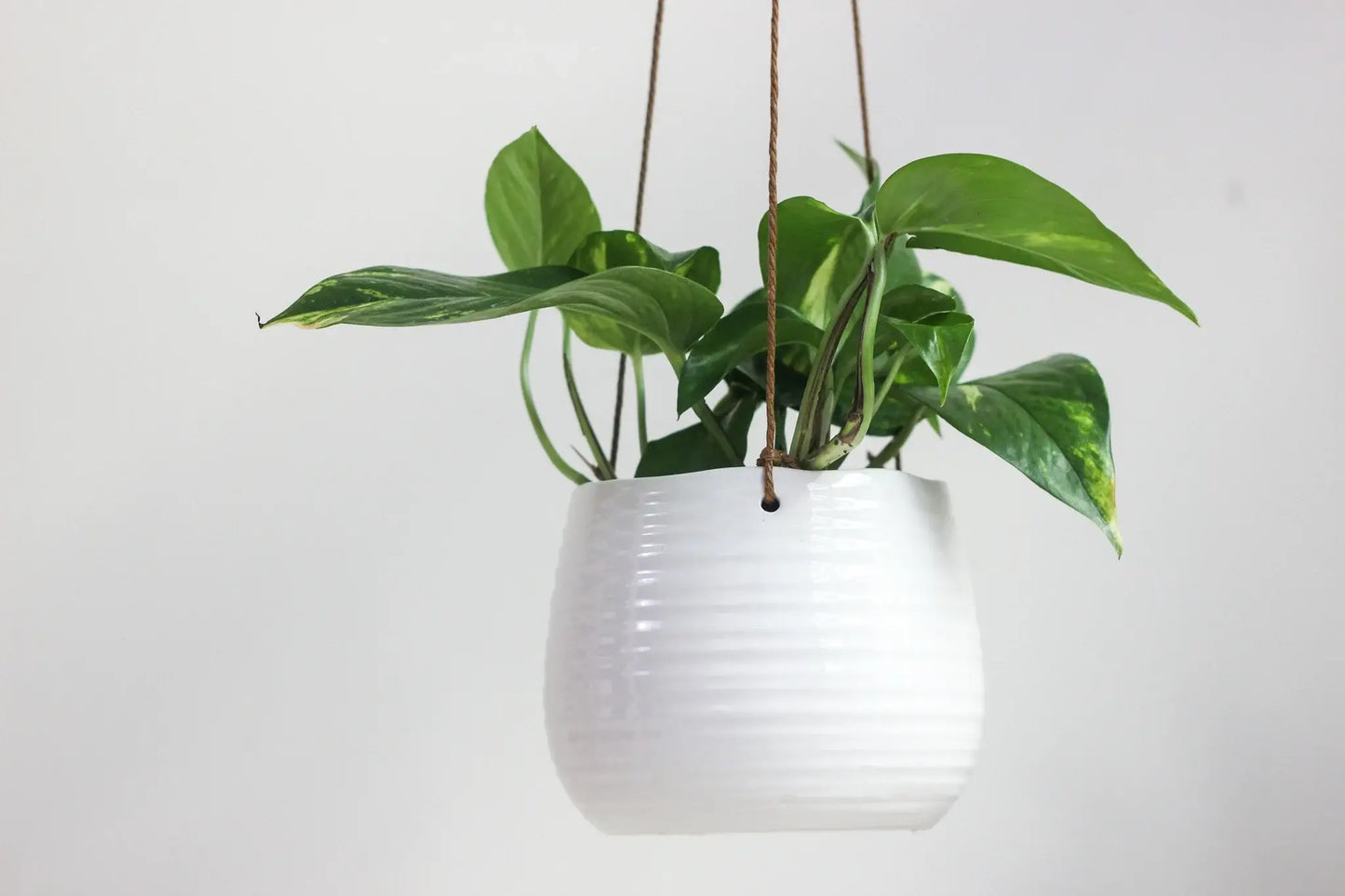 Ribbed White Ceramic Hanging Planter