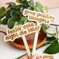 Retro Funny Wooden Plant Markers - Congrats!