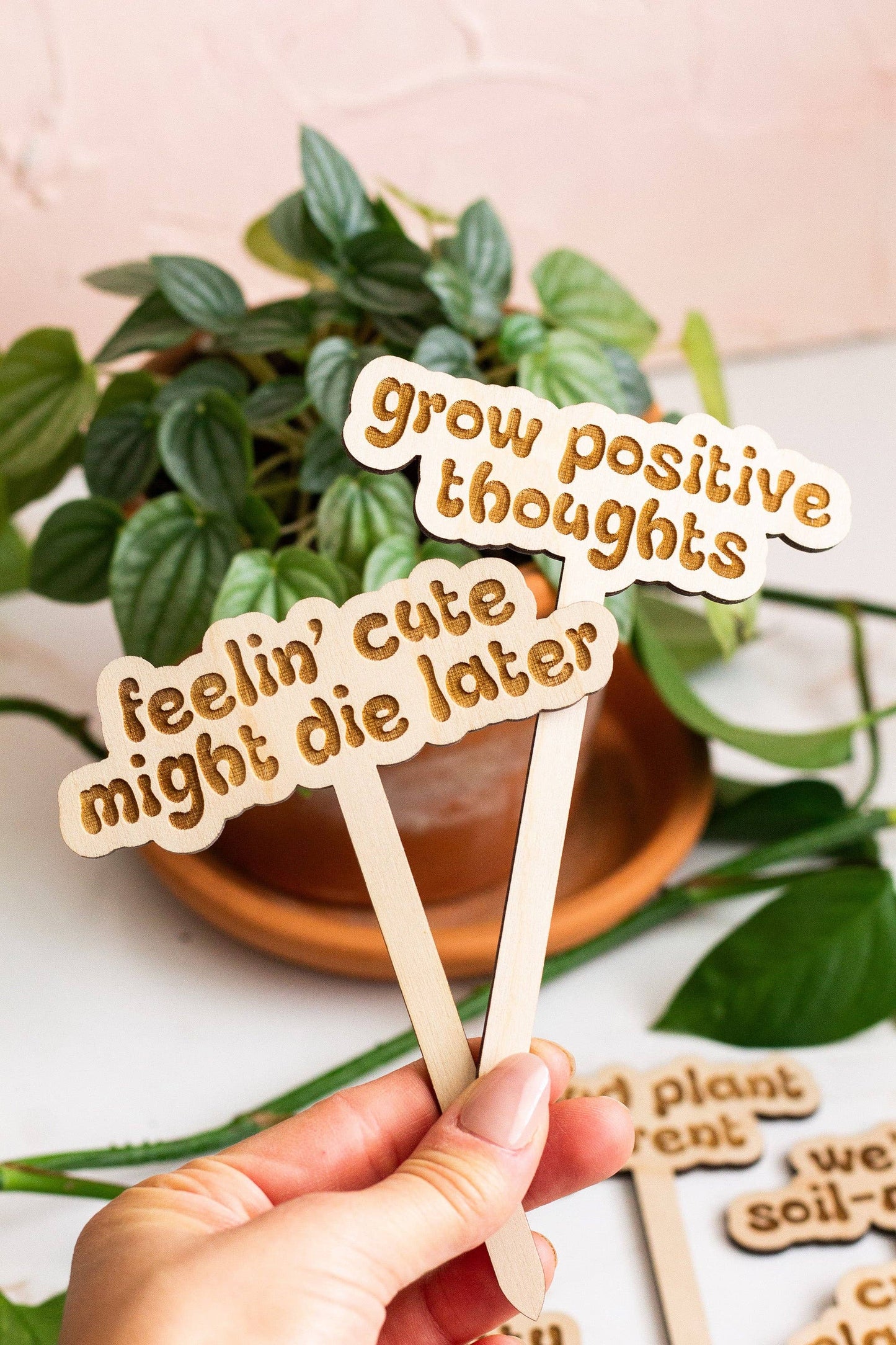 Retro Funny Wooden Plant Markers - Congrats!