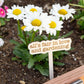The Tortured Poets Department Plant Markers - All's fair in love and gardening