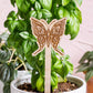 Butterfly Wooden Plant Stake