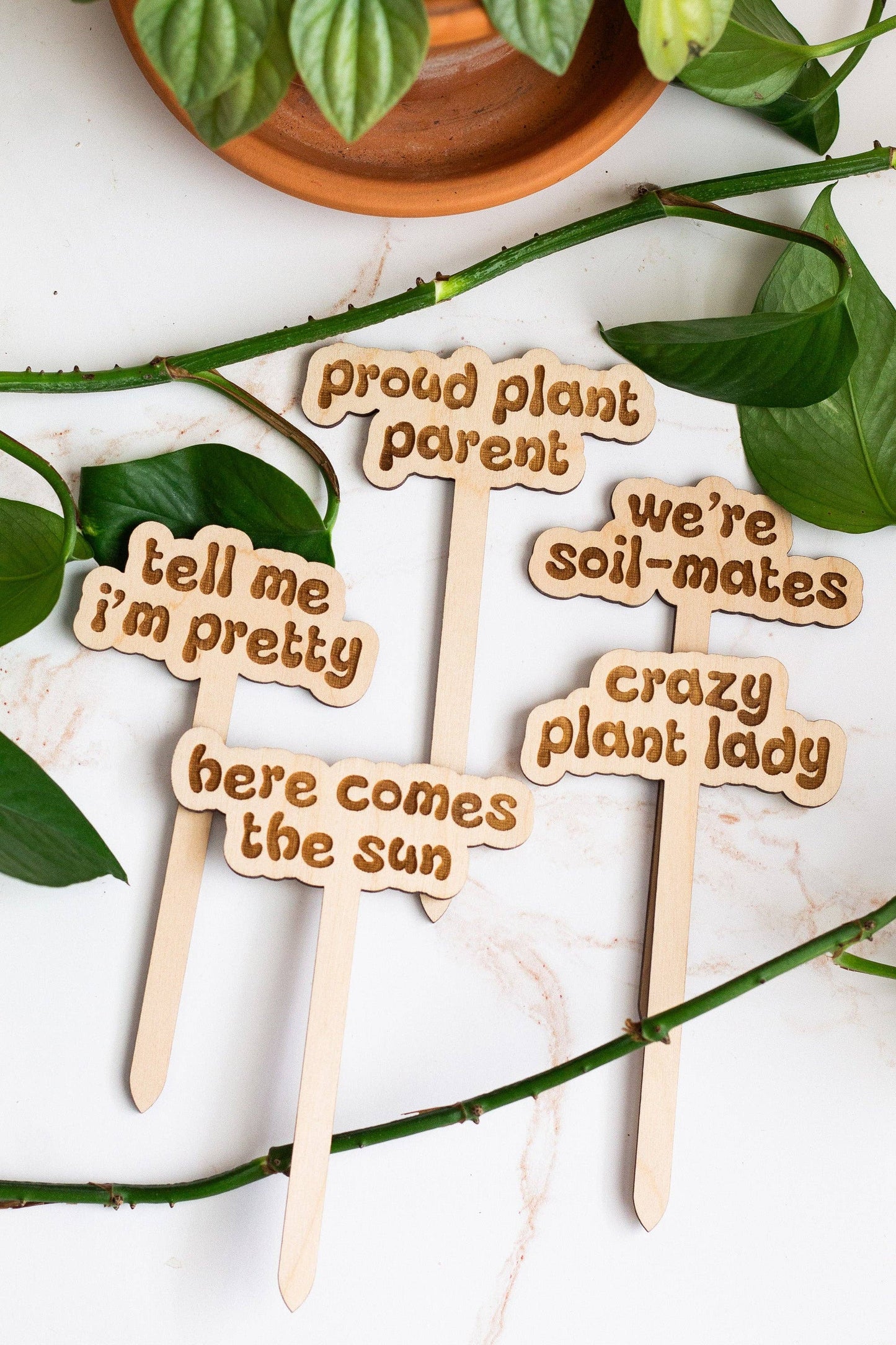 Retro Funny Wooden Plant Markers - Congrats!