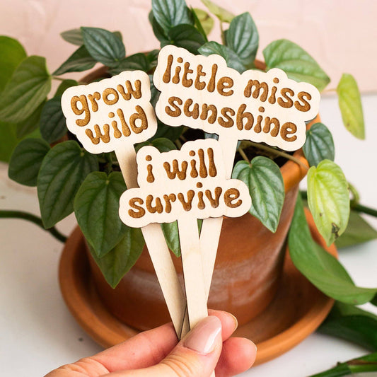 Retro Funny Wooden Plant Markers - Feelin' cute might die later