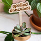 Retro Funny Wooden Plant Markers - Congrats!