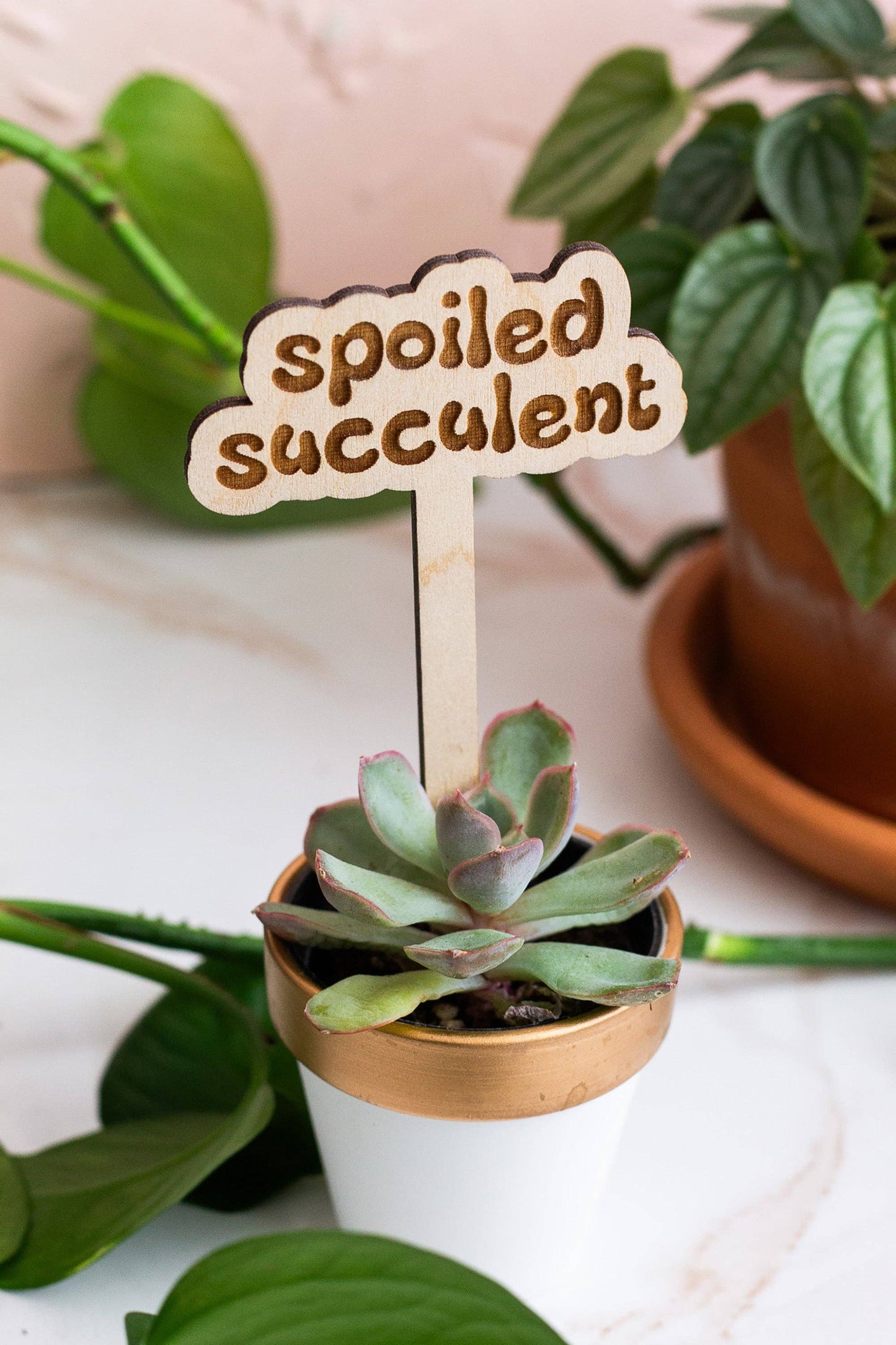 Retro Funny Wooden Plant Markers - Congrats!