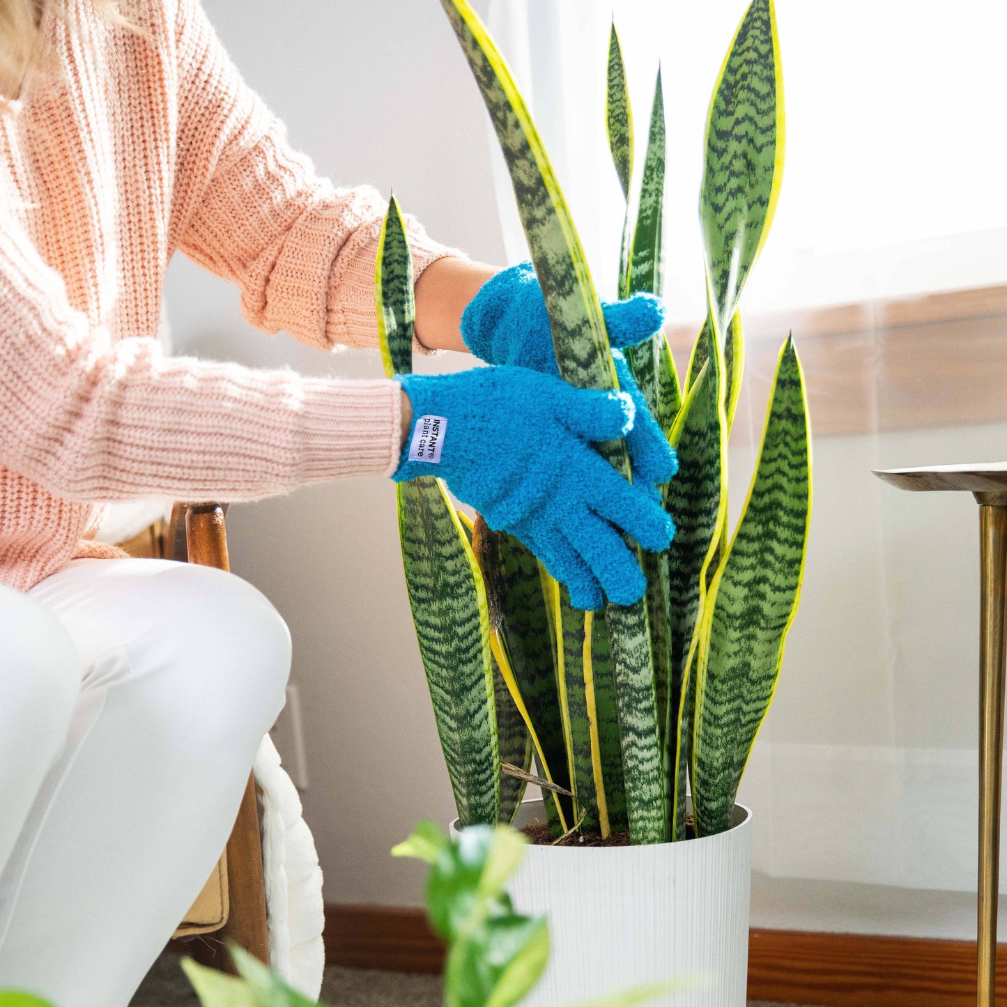 Houseplant Cleaning Gloves