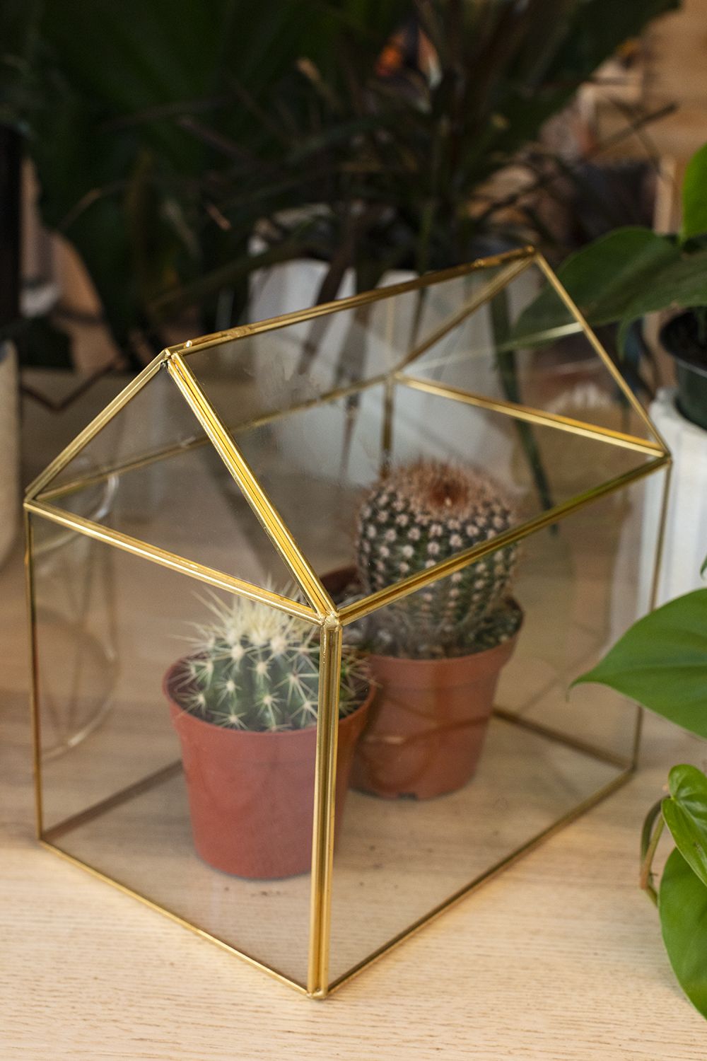 Hurley Terrarium