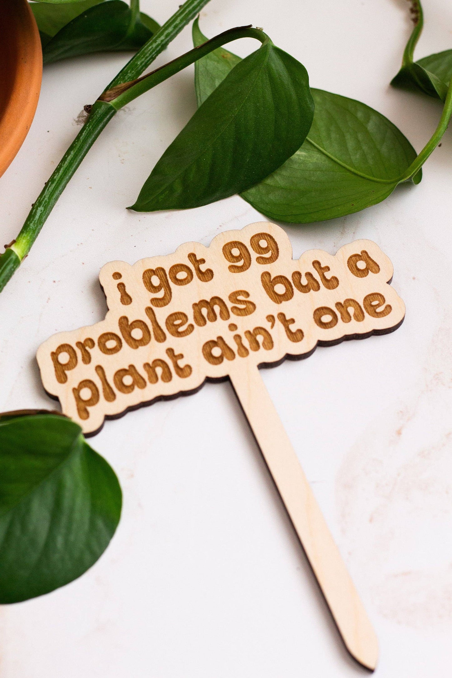 Retro Funny Wooden Plant Markers - Congrats!