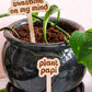 Retro Funny Wooden Plant Markers - Congrats!