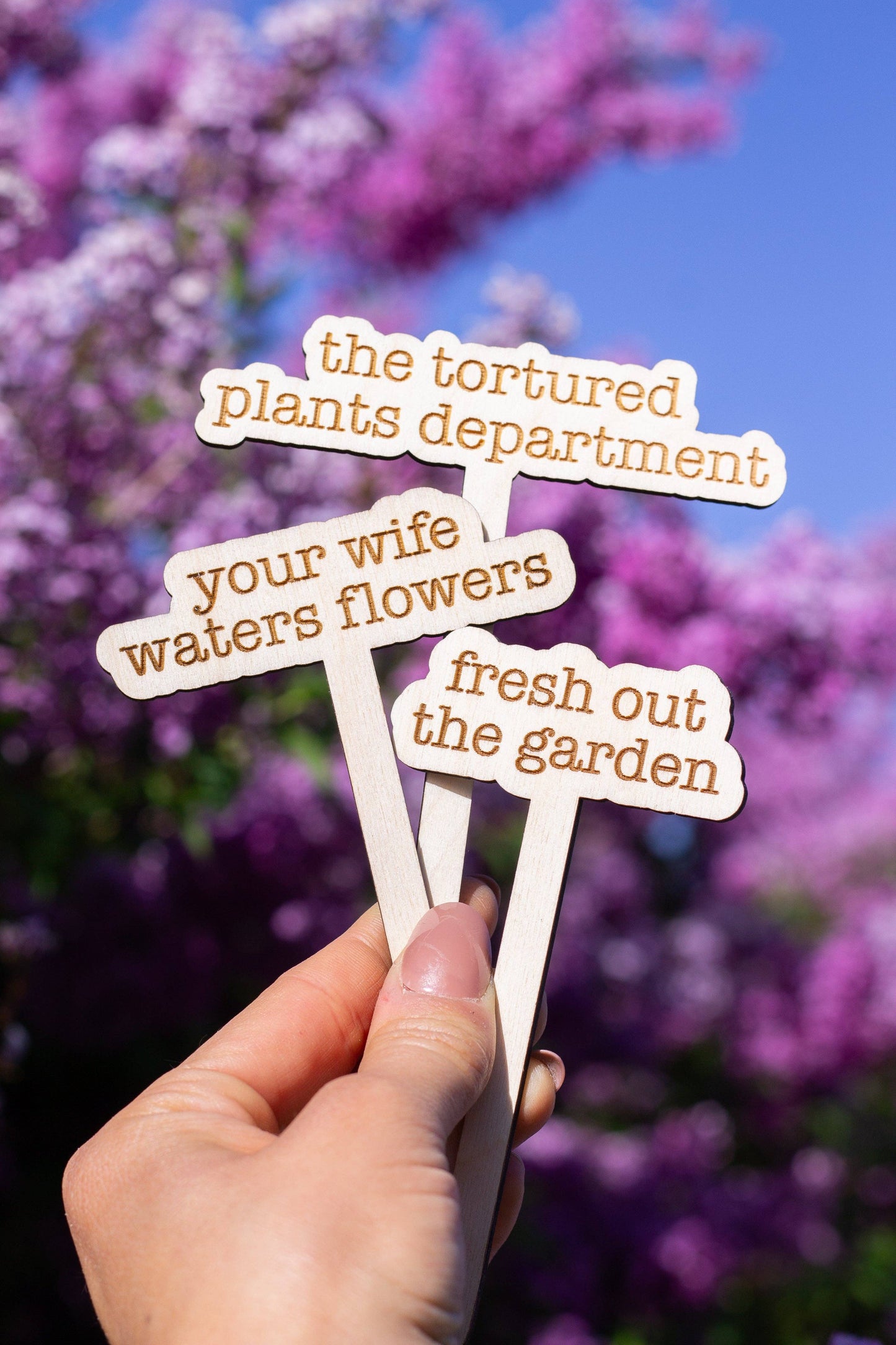 The Tortured Poets Department Plant Markers - All's fair in love and gardening