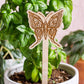 Butterfly Wooden Plant Stake