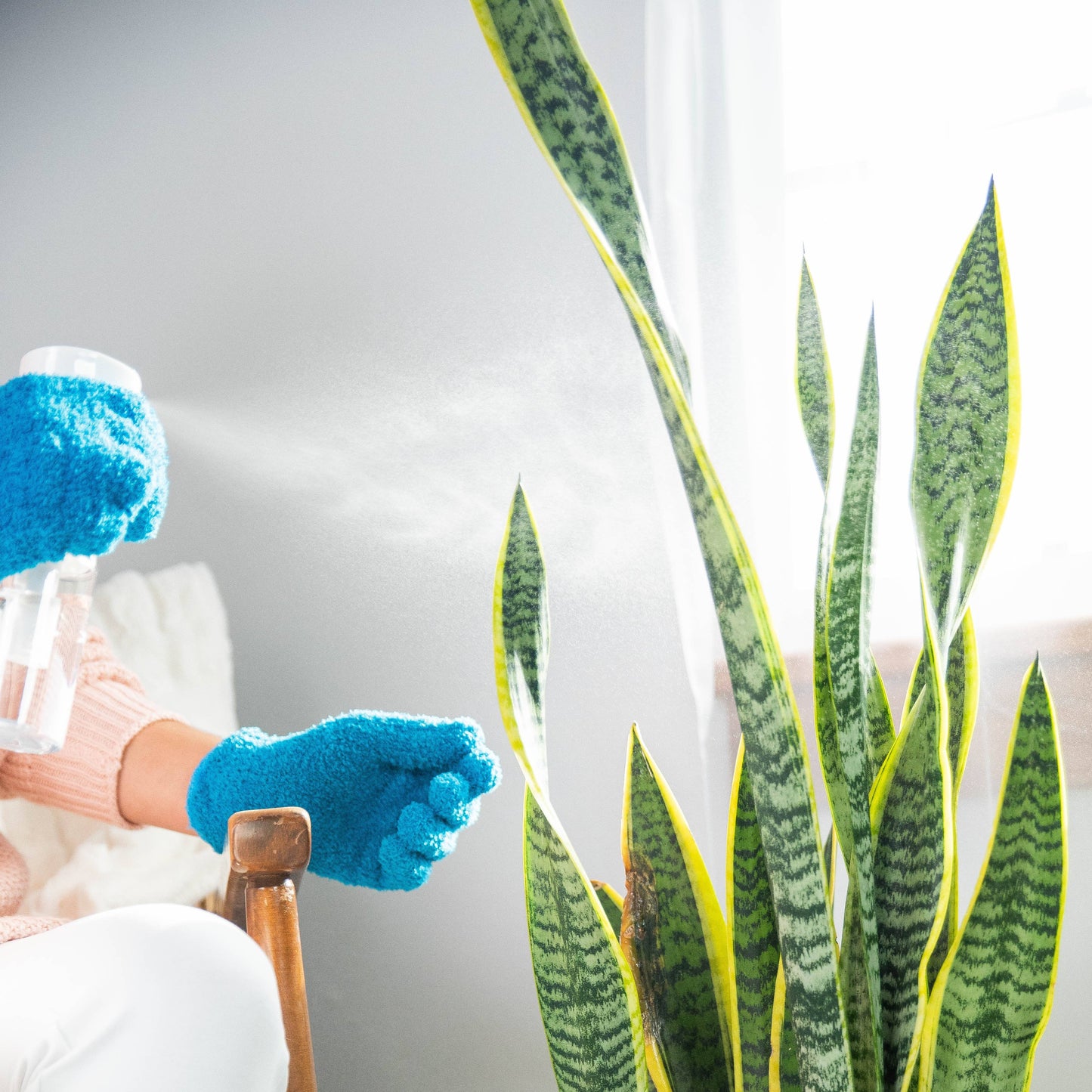 Houseplant Cleaning Gloves