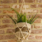 Small Cotton Macrame Plant Hanger