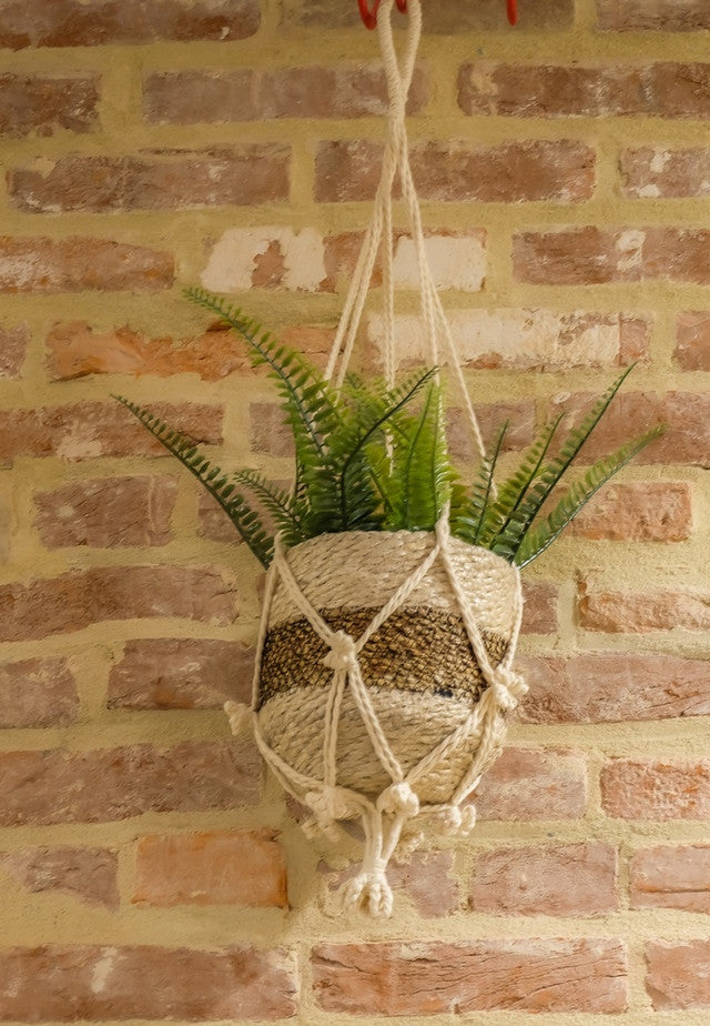 Small Cotton Macrame Plant Hanger