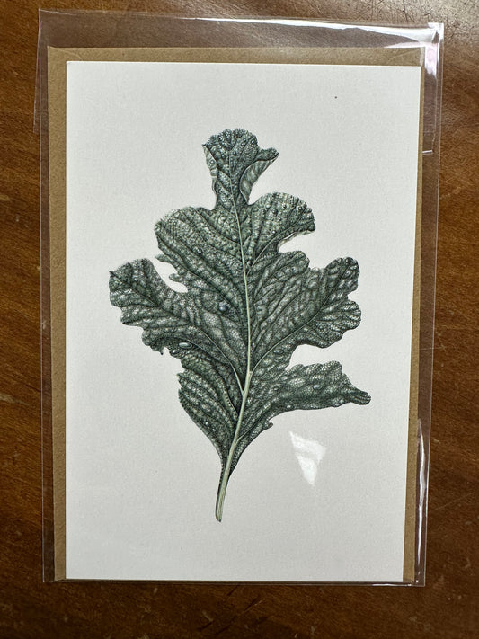 Kale Card