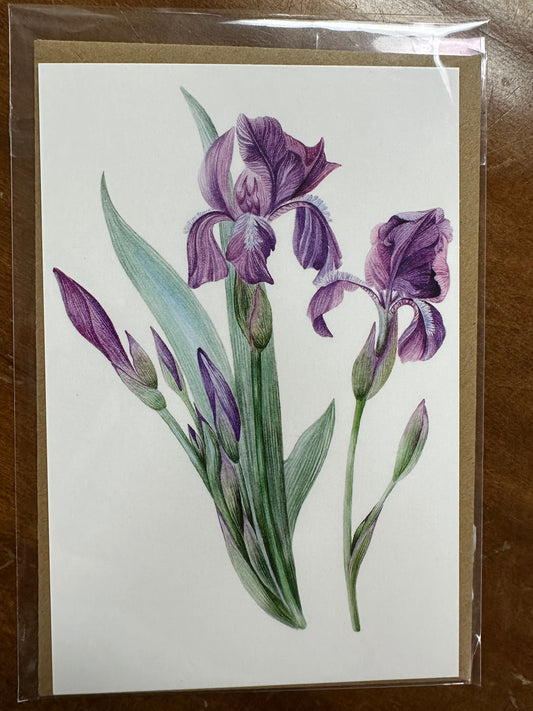 Iris Card