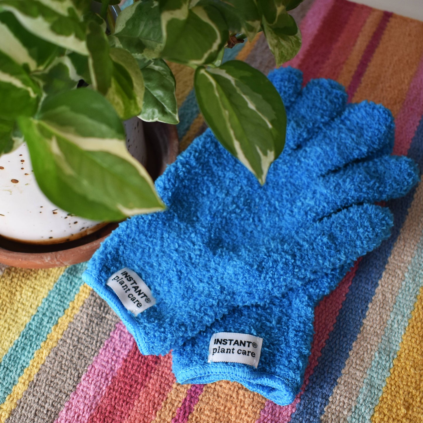 Houseplant Cleaning Gloves