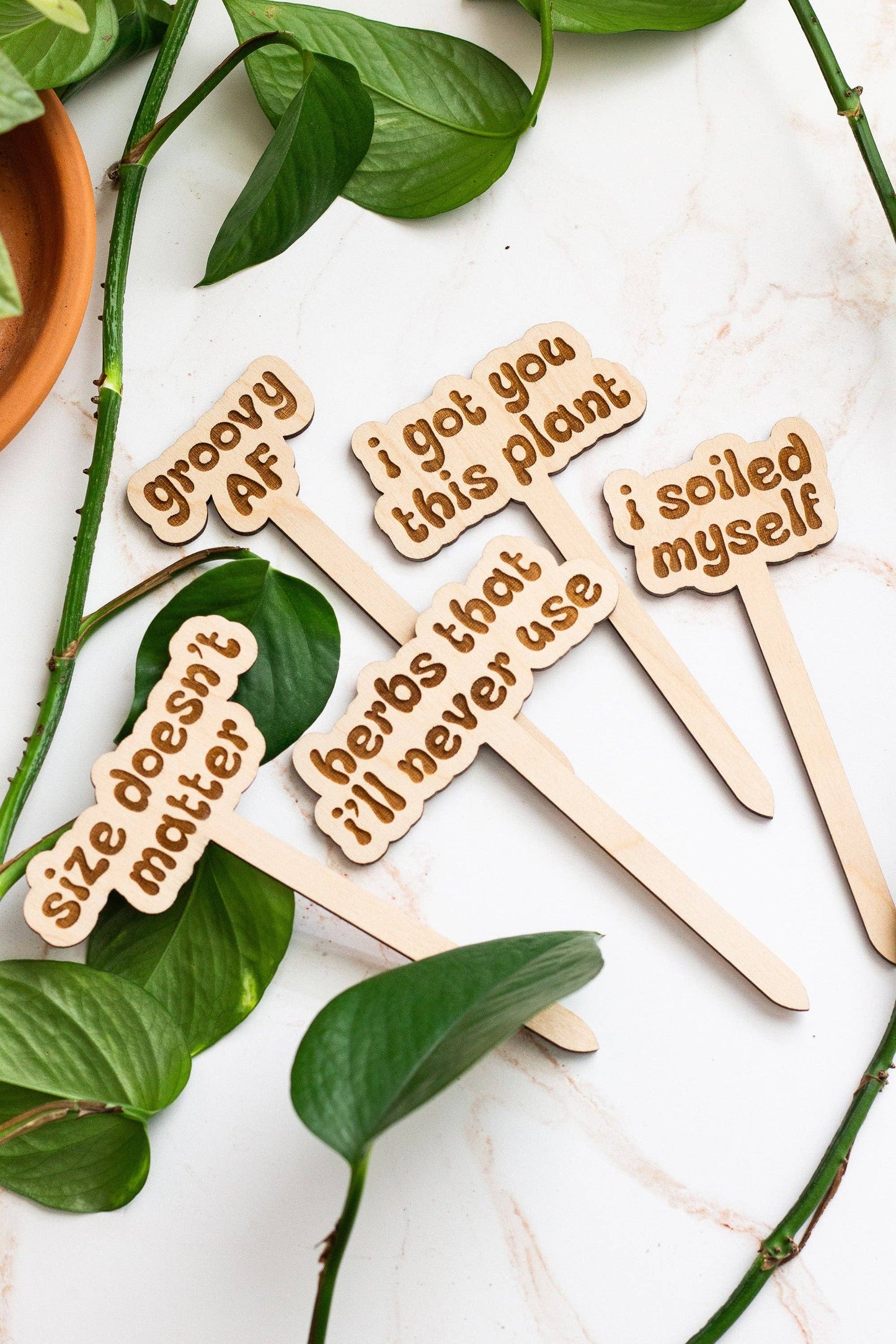 Retro Funny Wooden Plant Markers - Congrats!