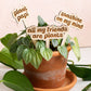 Retro Funny Wooden Plant Markers - Congrats!