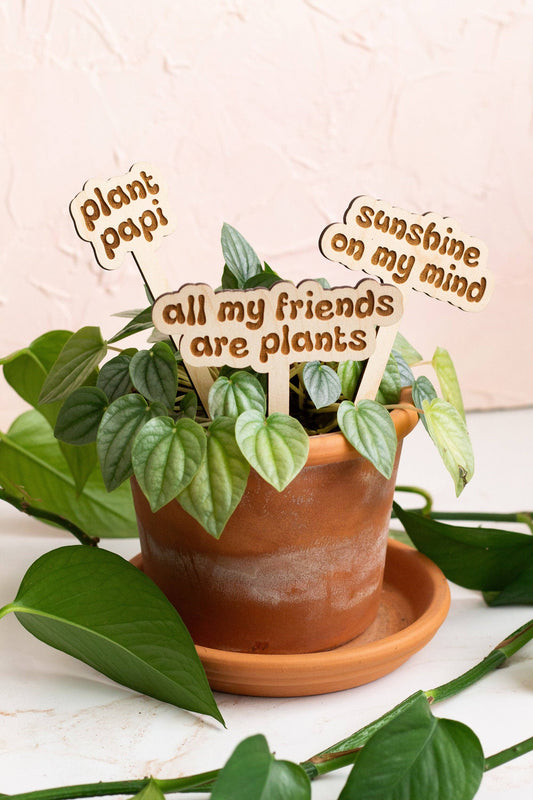 Retro Funny Wooden Plant Markers - Thank you so much!