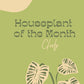 Houseplant of the Month Club