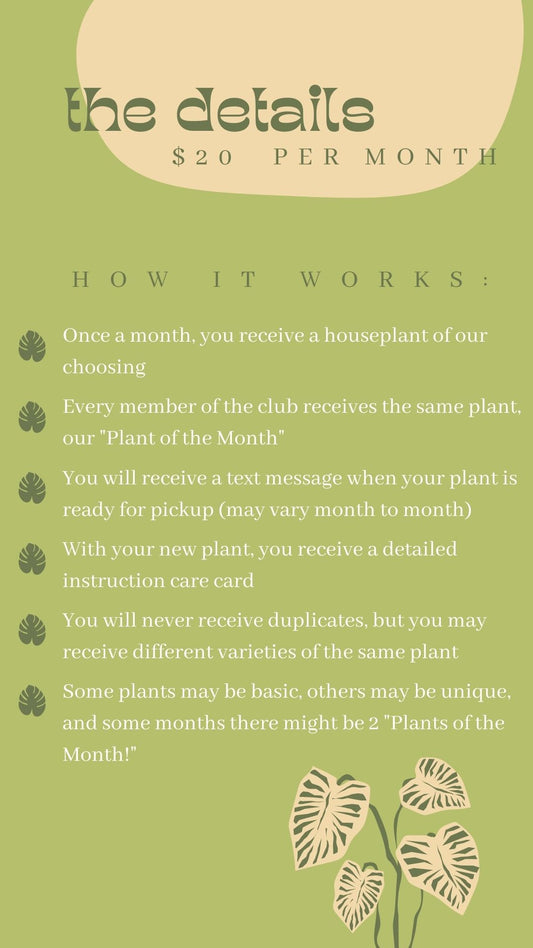 Houseplant of the Month Club