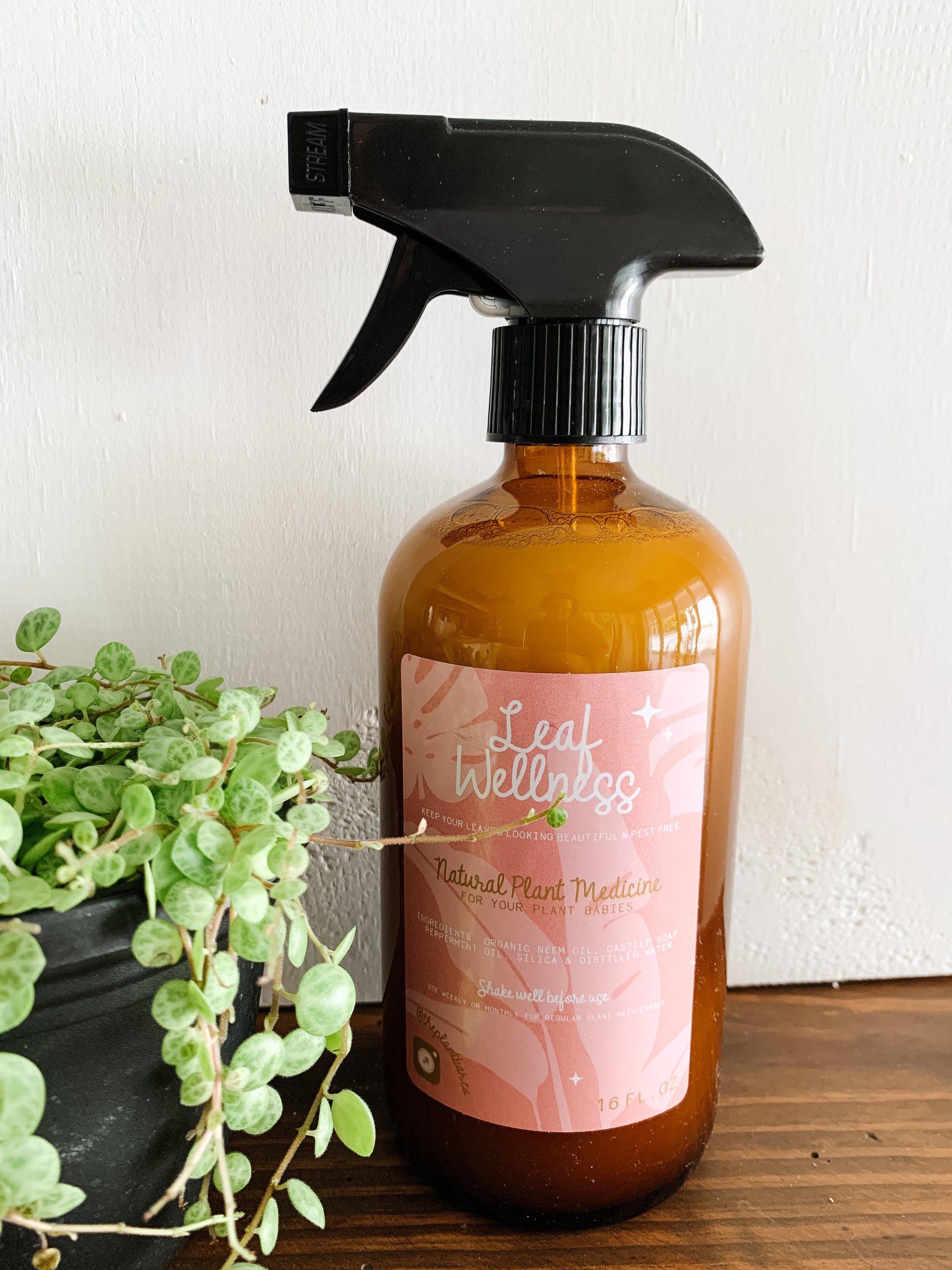 Leaf Wellness Spray – LV PLANT COLLECTIVE