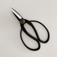 Plant & Floral Scissors