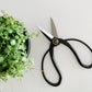 Plant & Floral Scissors