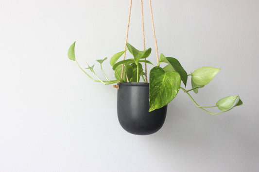 Matte Black Hanging Planter Pot